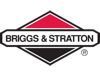 Briggs & Stratton